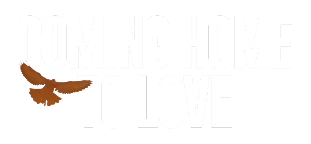 Heal Attachment - Better relationships and love