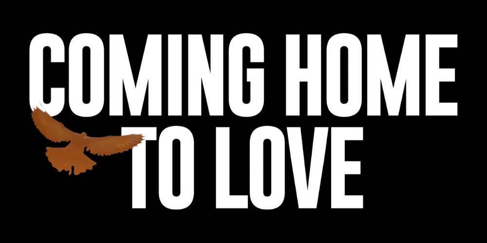 Heal Attachment - Better relationships and love