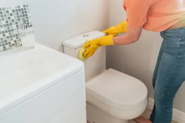  Carpet Cleaning