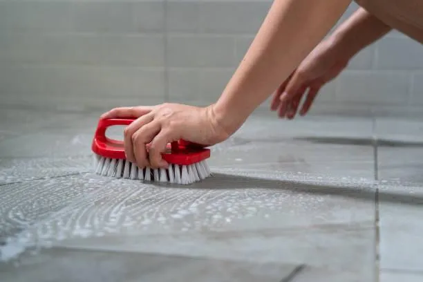  Carpet Cleaning
