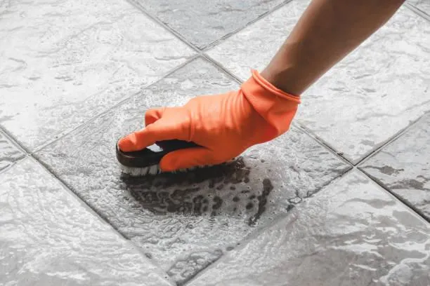  Carpet Cleaning