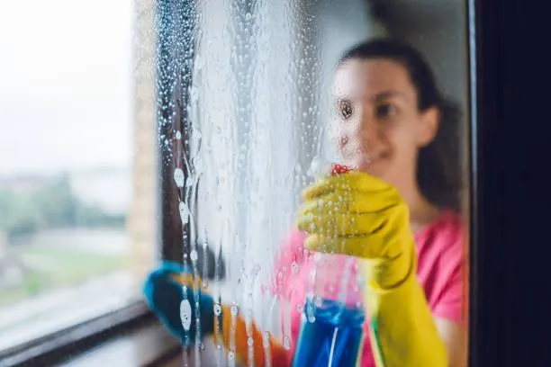  Carpet Cleaning