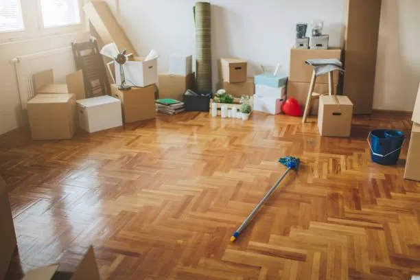  Carpet Cleaning