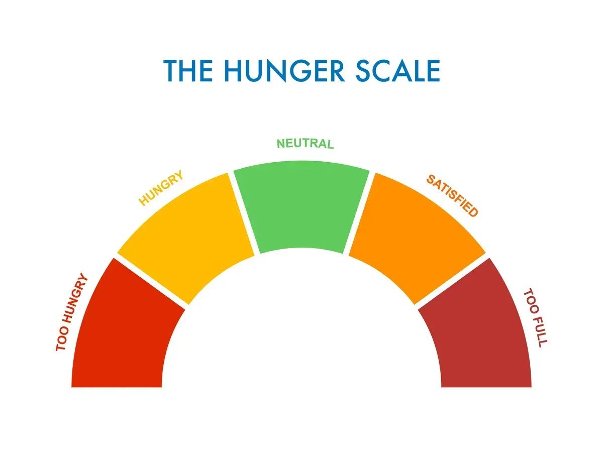 The Hunger Level Scale
