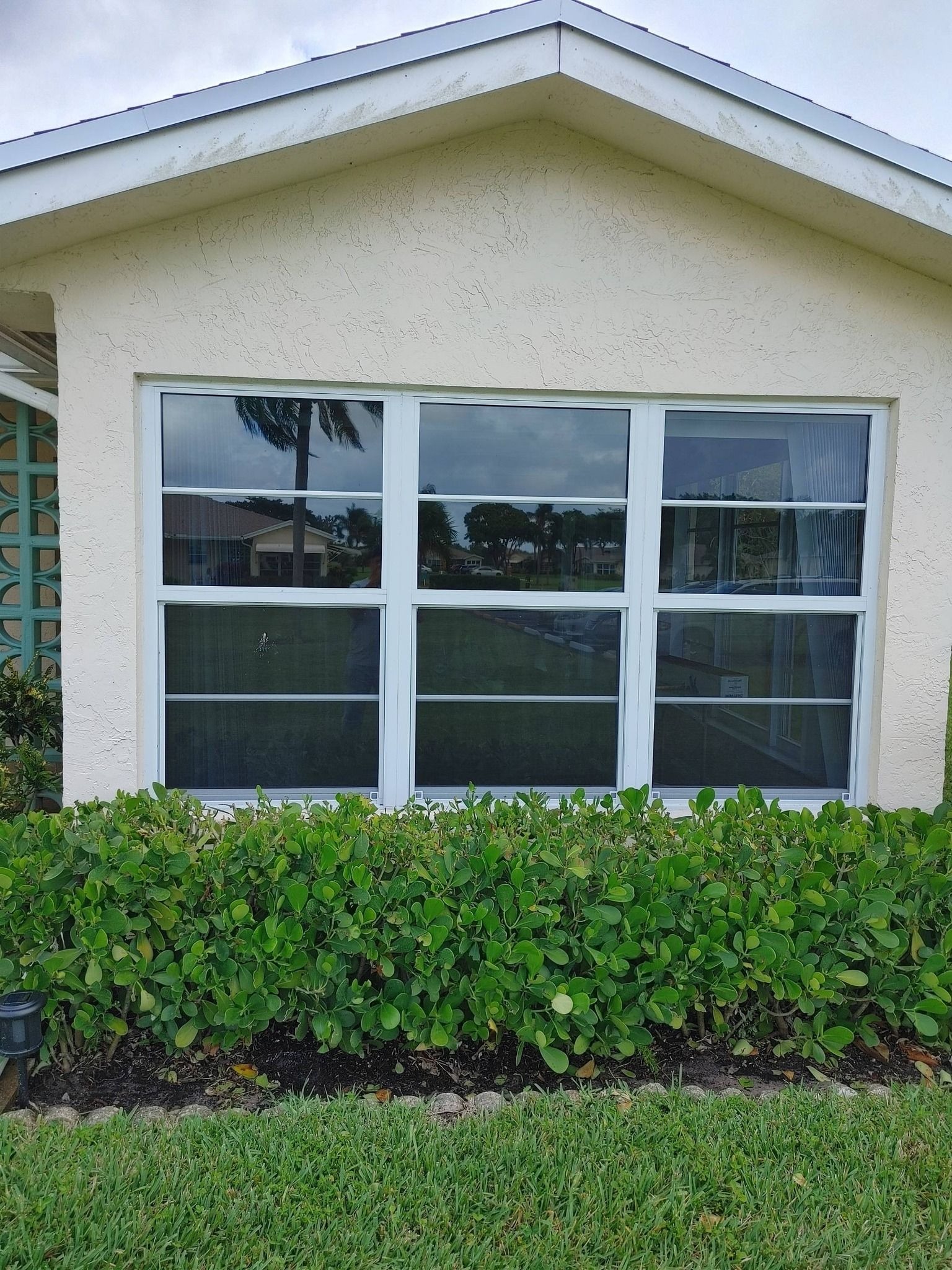 Commercial & Office Window Tinting in