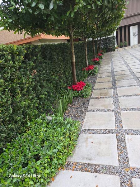 Garden Design / Landscape Design in Cutler Bay