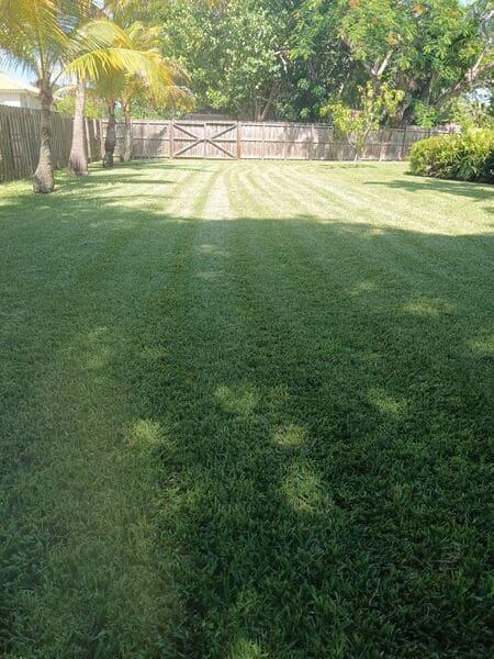 Lawn and Plant Fertilization in Cutler Bay