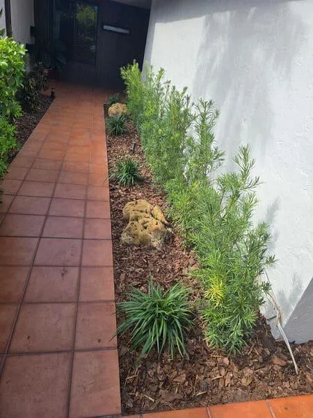 Lawn and Plant Fertilization Cutler Bay