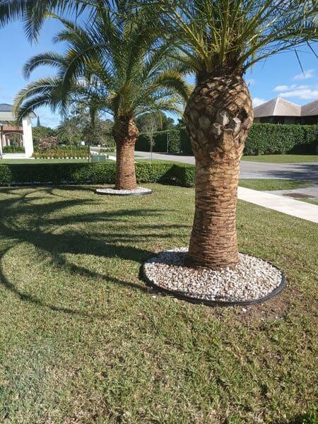 Cutler Bay Irrigation / Sprinkler System Installation and Repair