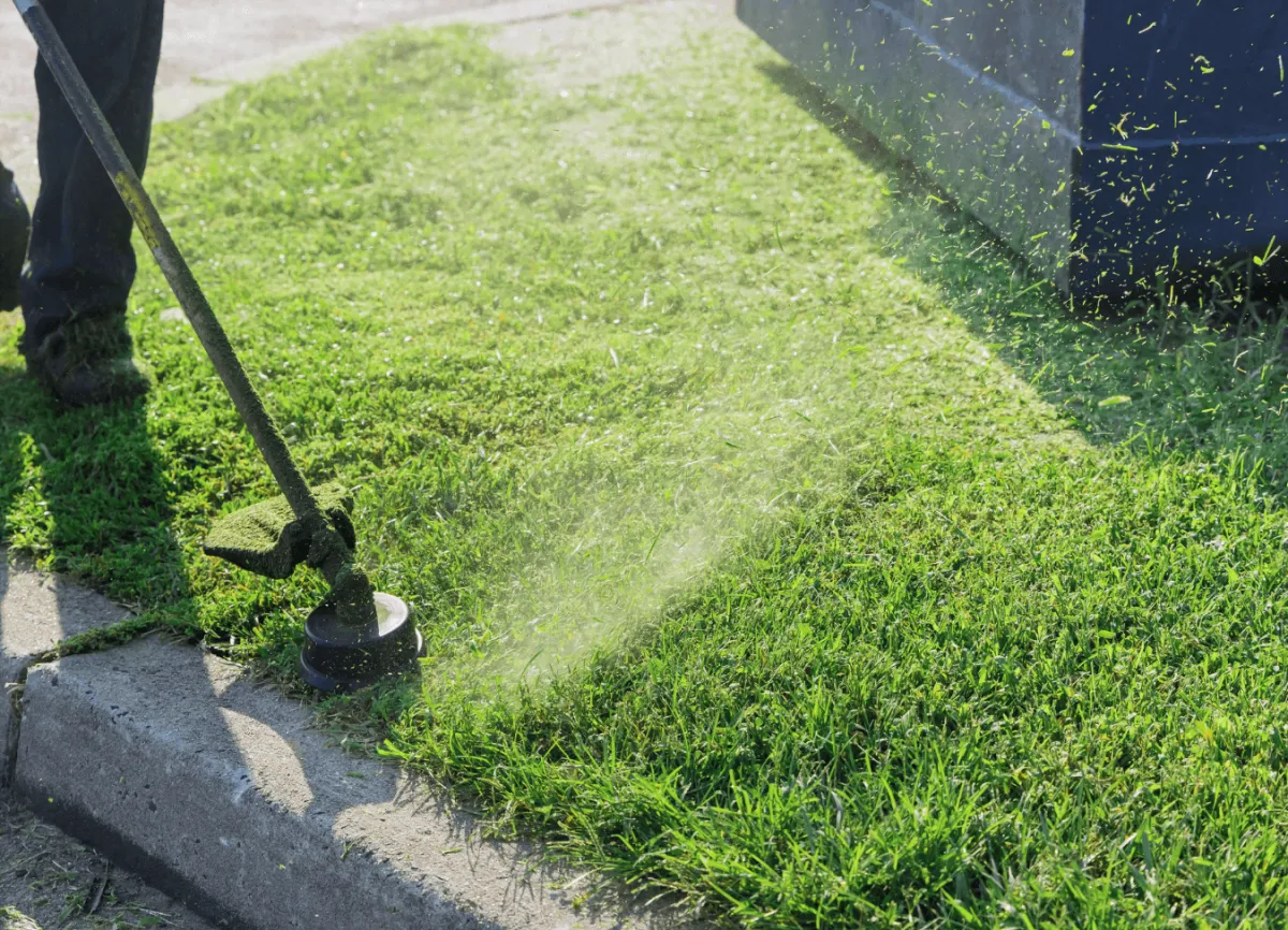 String trimmer used for professional lawn maintenance in Eastman GA