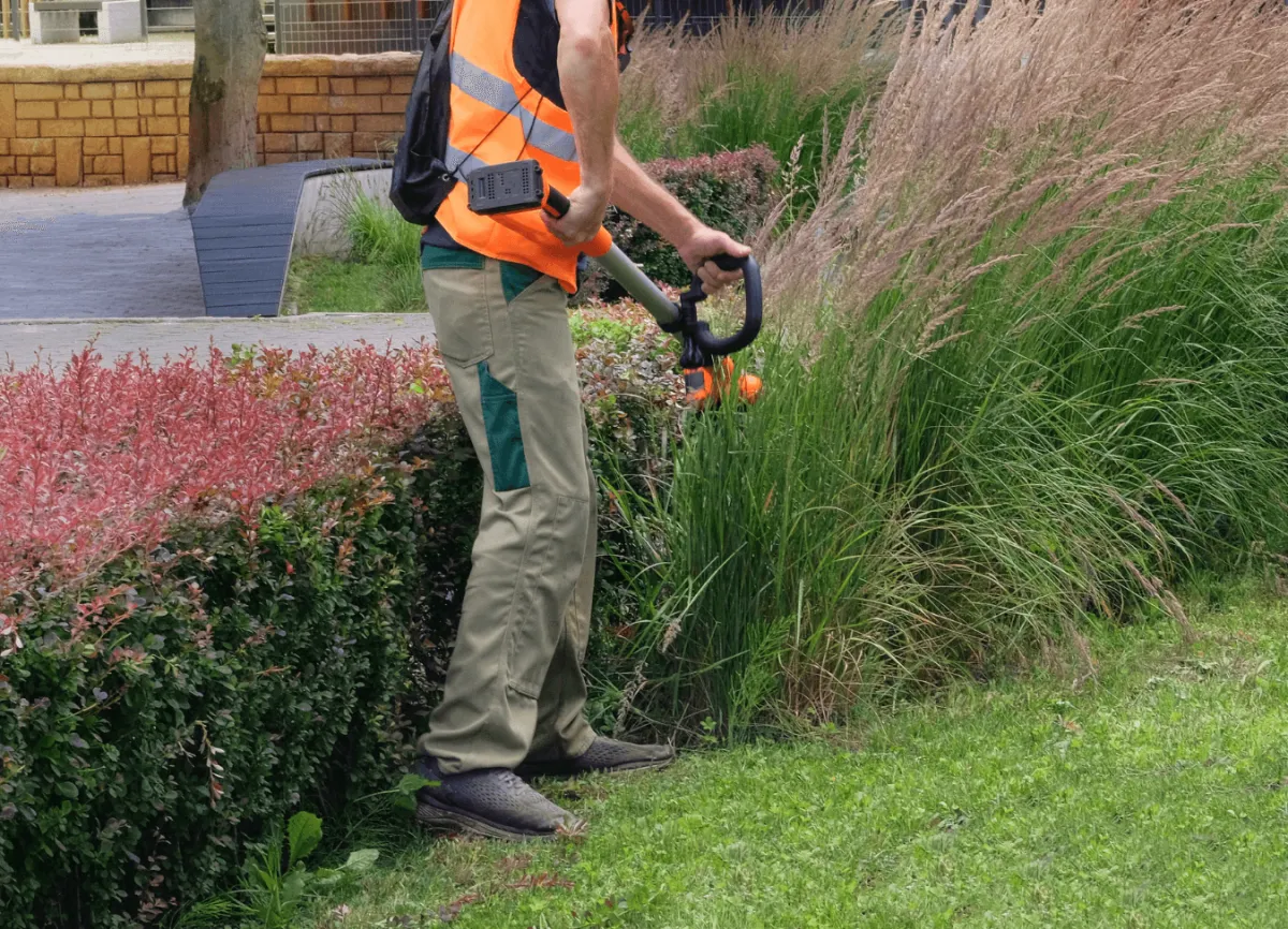 Professional hedge and shrub trimming service in Eastman GA for local service areas