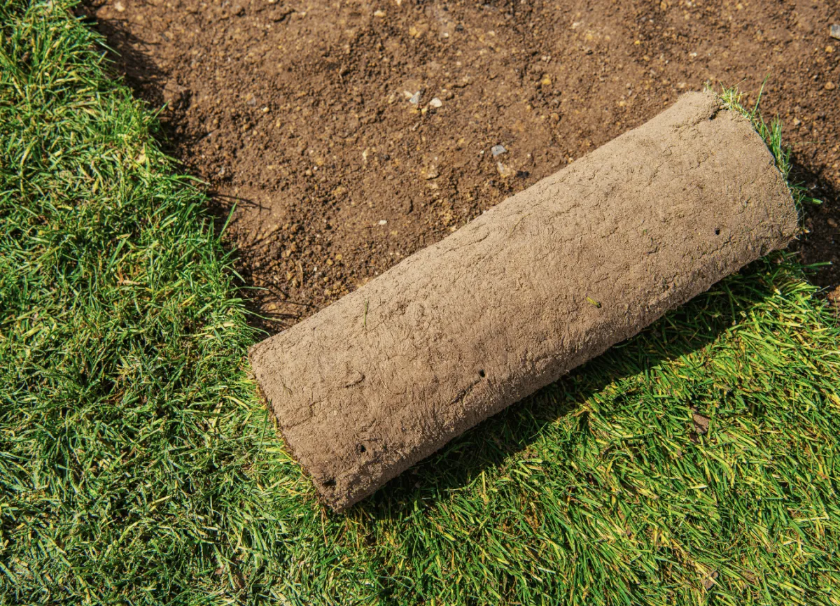 Quality sod installation and lawn upgrade in Eastman Georgia