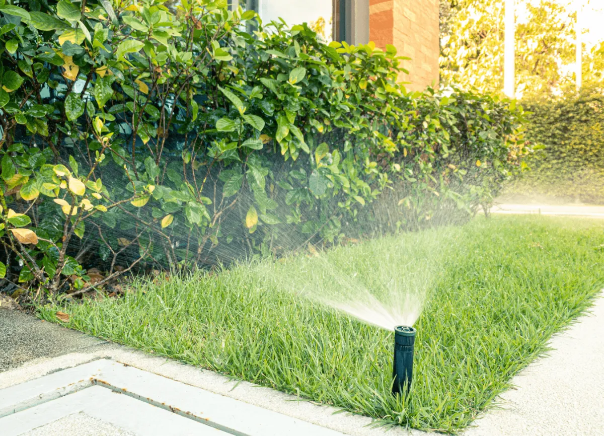 Landscaping sprinkler repair service in Eastman Georgia