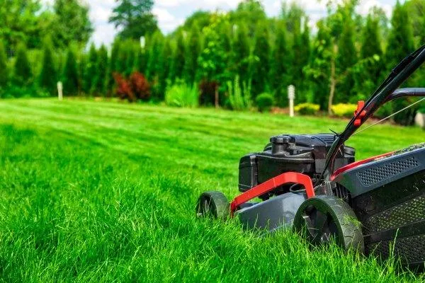 Maintaining Landscaping