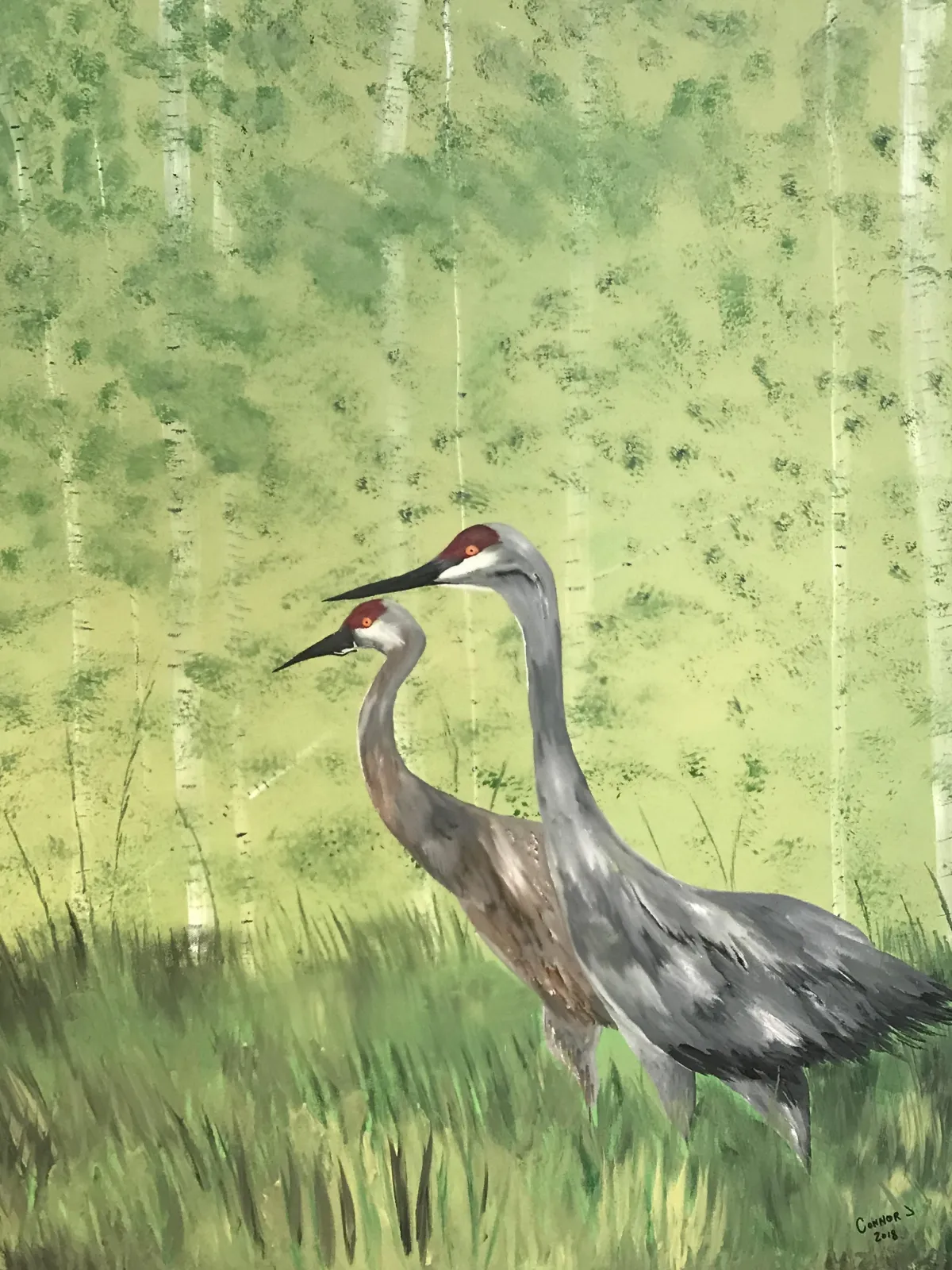 2 sandhill cranes