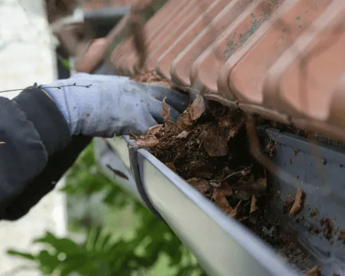  Pressure Washing Houses