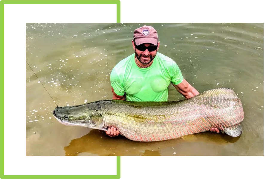 Amazon Fishing Trips Arapaima Trips