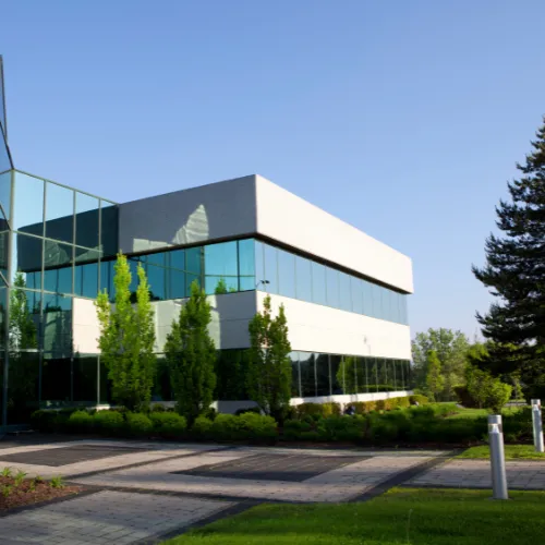 landscape design and build