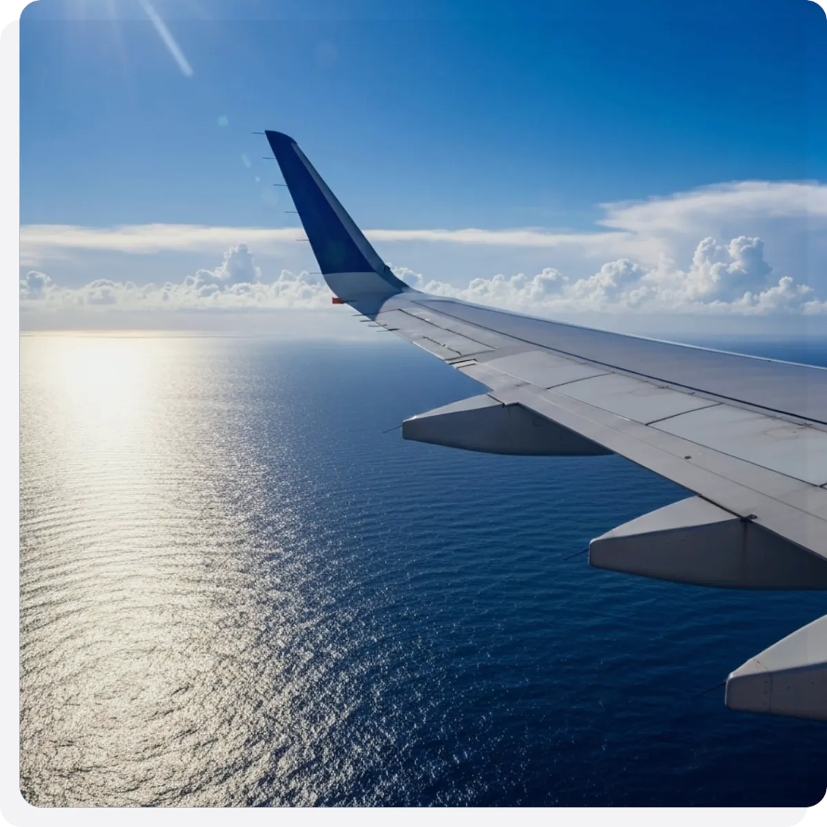 Airplane Wing View