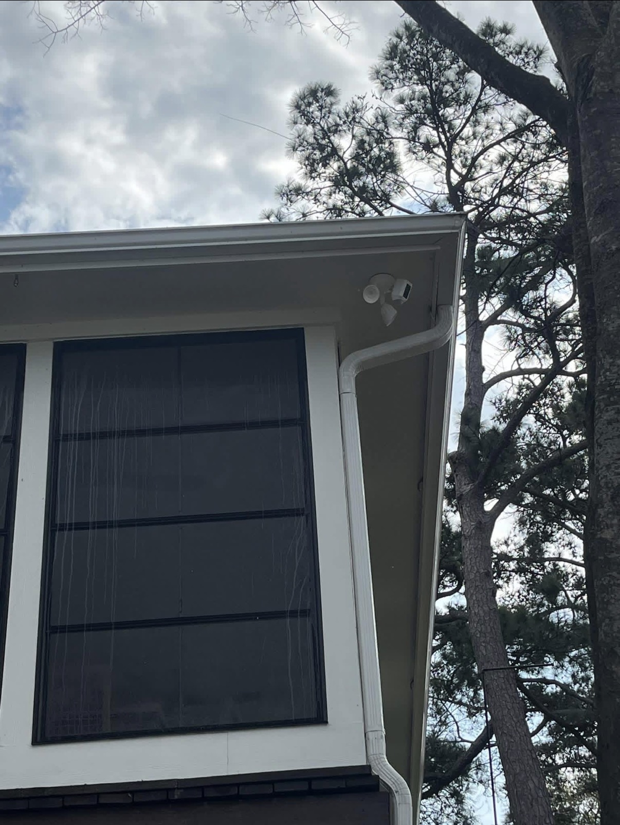 Gutter Cleaning