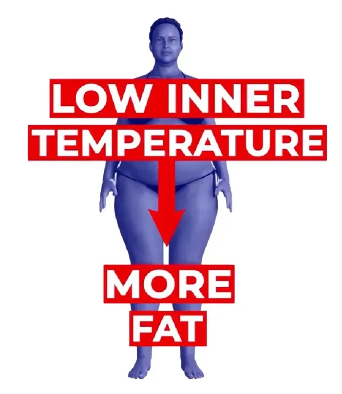 ice hack for weight loss