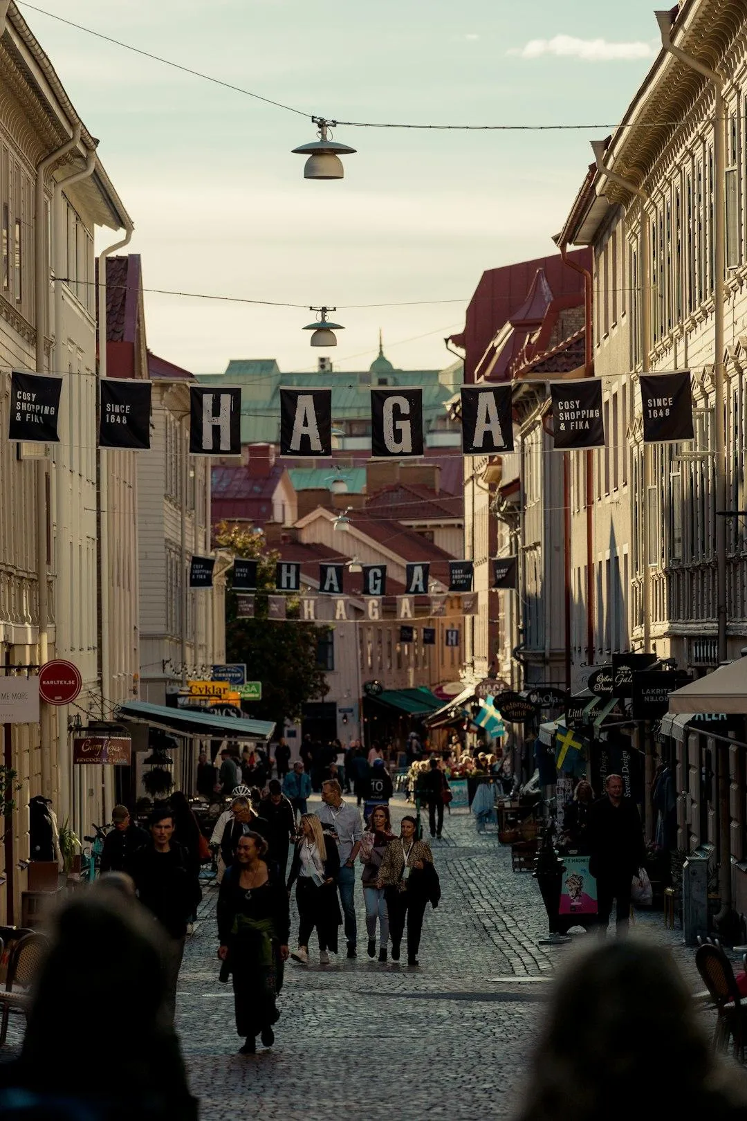 Haga in Gothenburg
