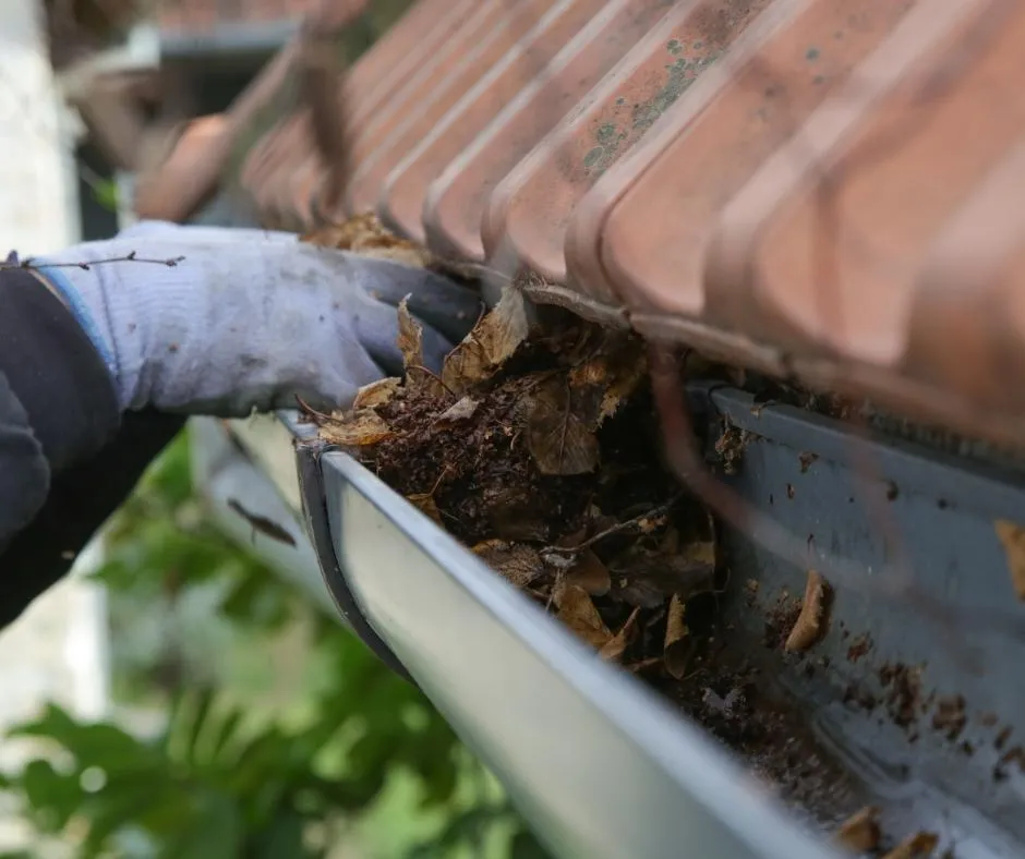 Gutter Cleaning