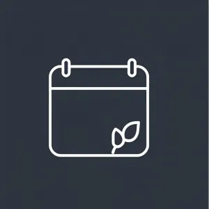 Harmony Strands maintenance icon — thin-line calendar with a leaf representing ongoing hair and scalp care.