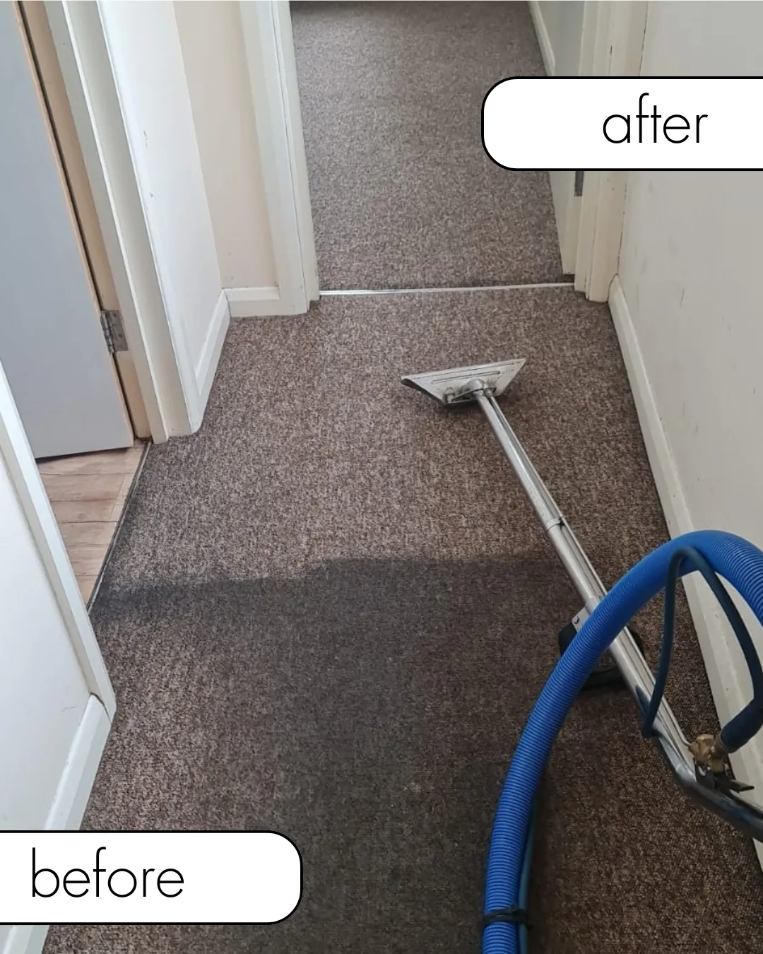 carpet cleaning dundee