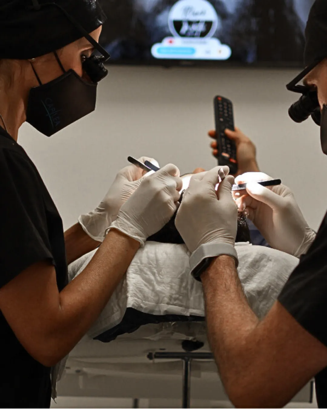 Close-up of olive branches swaying gently