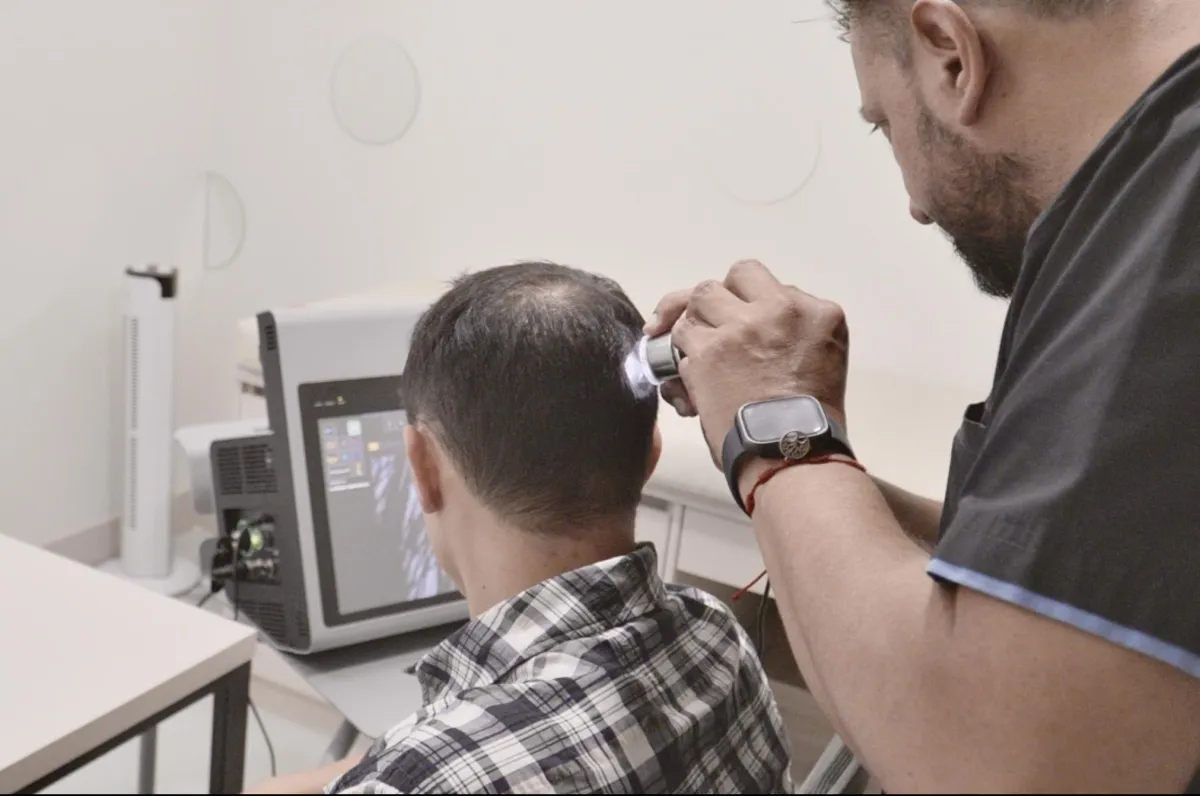Pink cherry blossoms on a tree branch