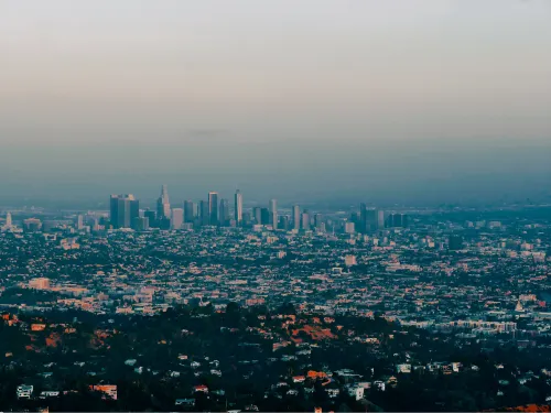 Dunwoody Panel replacement