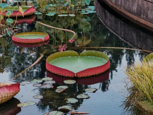 Lawrenceville Panel replacement