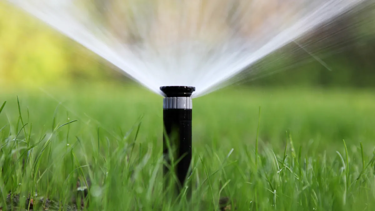 sprinkler water healthy lawn