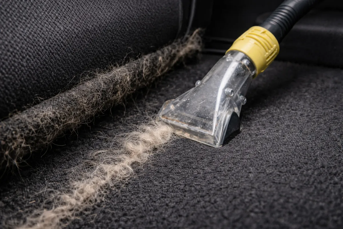 Ceramic Coating in Winchester, VA