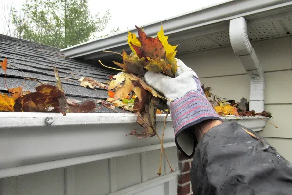 Why Gutter Maintenance Matters More Than You Think