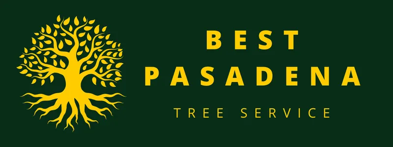 best pasadena tree service