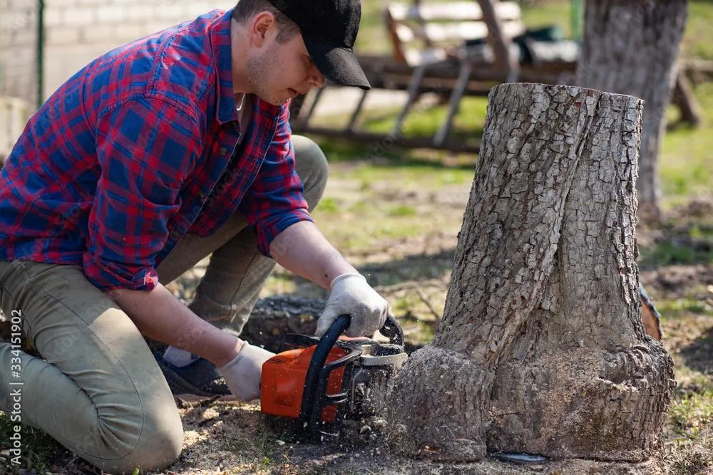 tree removal