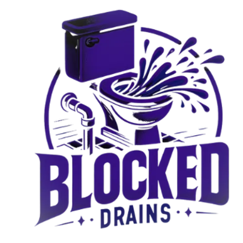 Heidelberg in Blocked Toilets