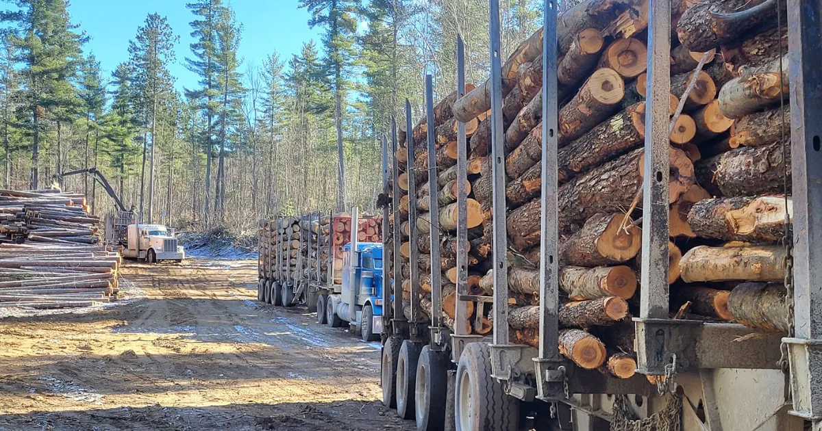Logging Trucks
