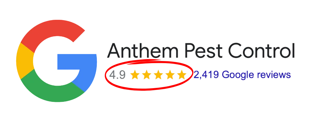 Anthem Pest Control Reviews