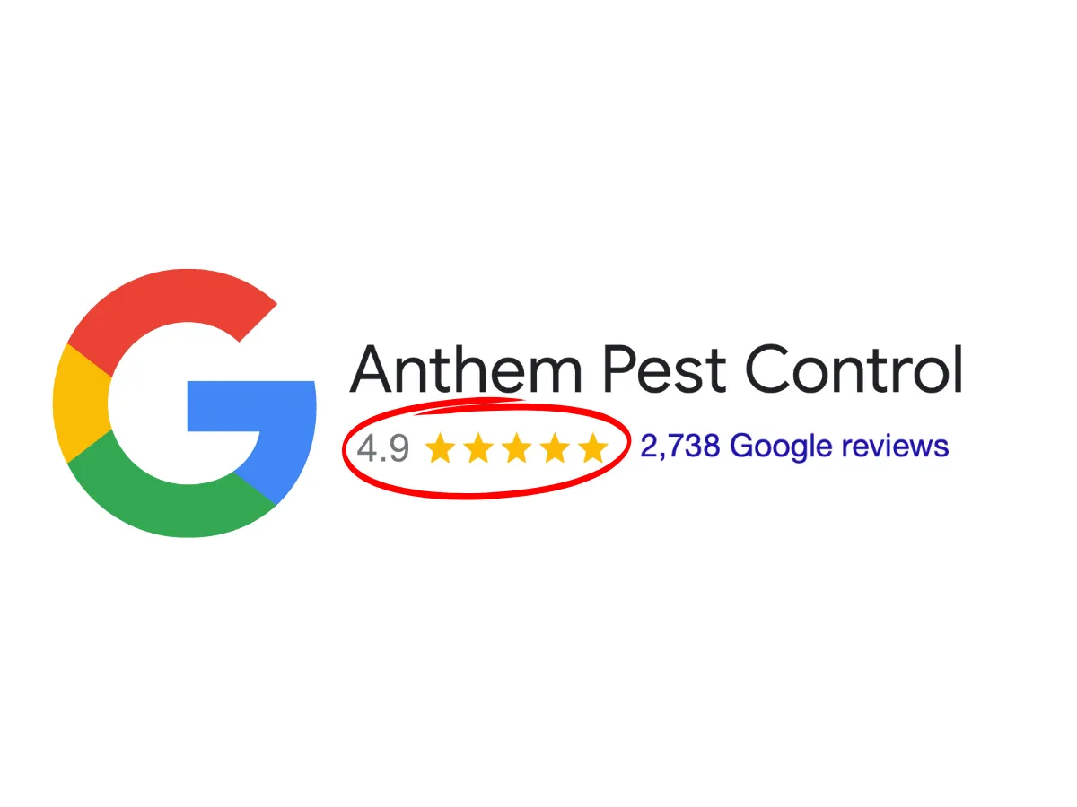 Anthem Pest Control Reviews