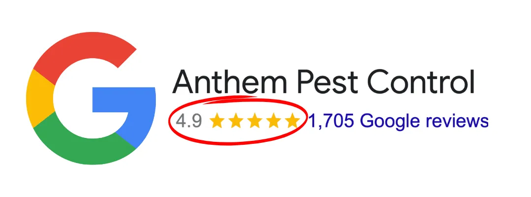 Anthem Pest Control Reviews