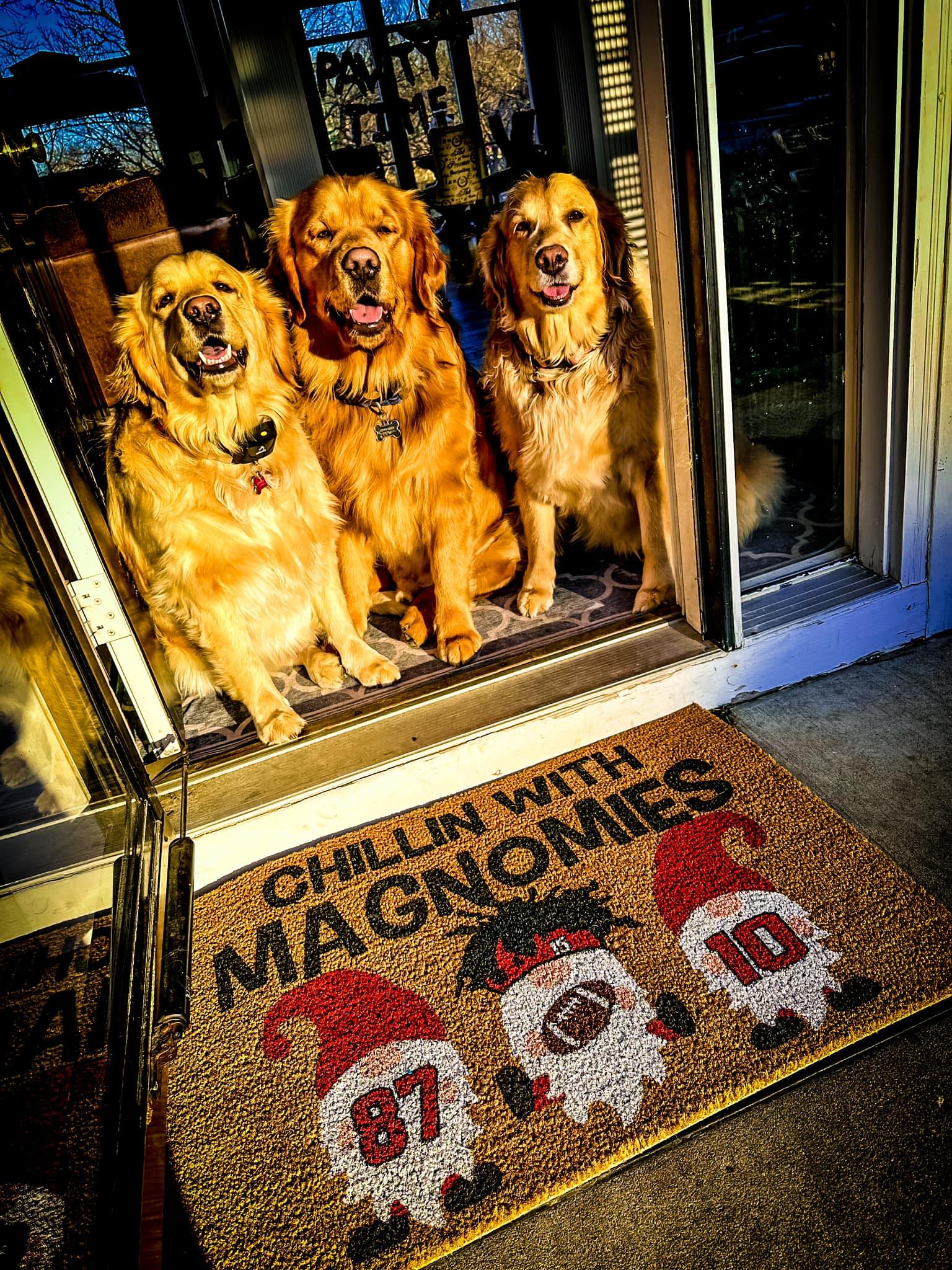 A friendly customer support agent with a headset, smiling at a computer in a bright workspace with teal and navy accents, ready to assist clients.