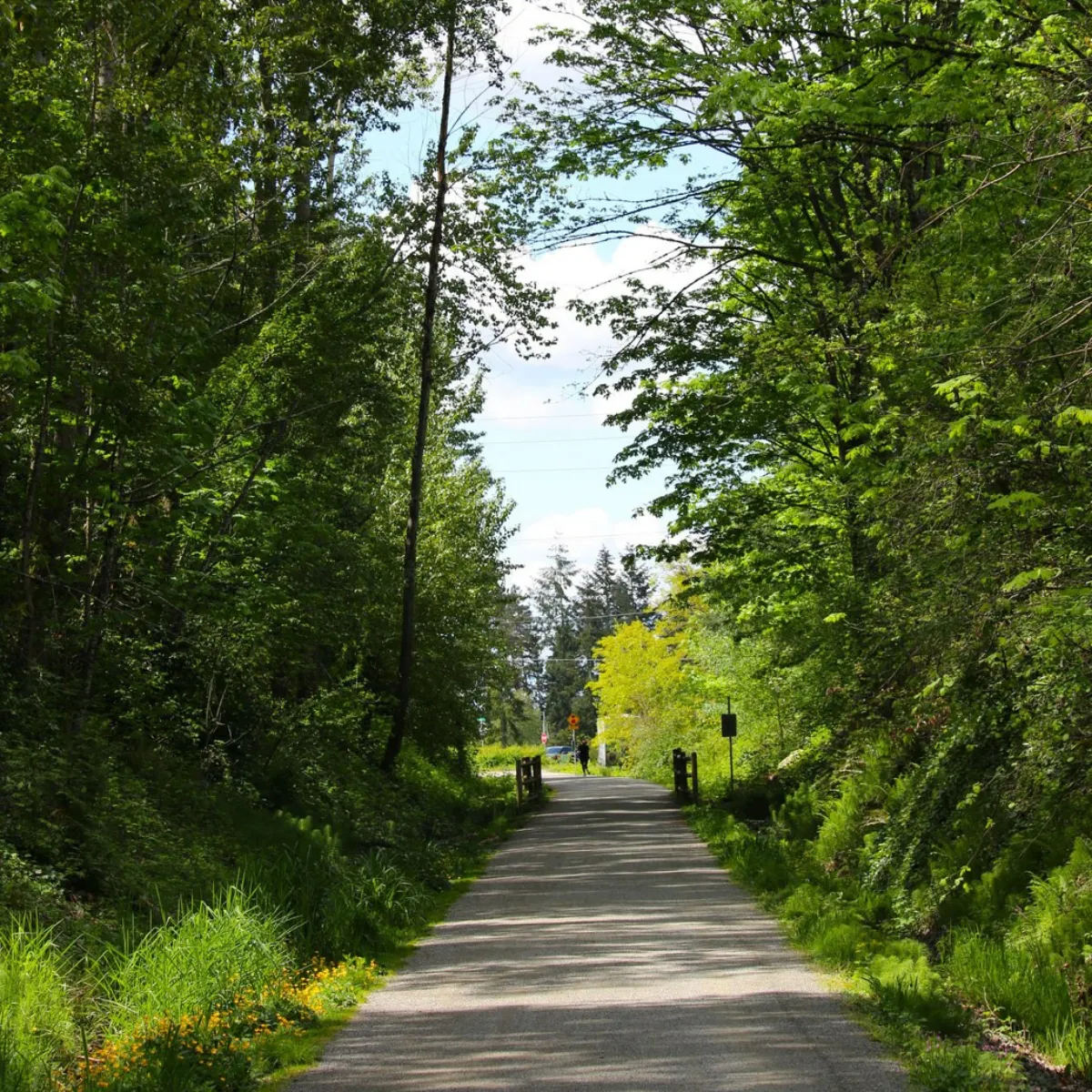 Scenic walking and biking trail along the Cross Kirkland Corridor, a popular outdoor fitness destination in Kirkland.