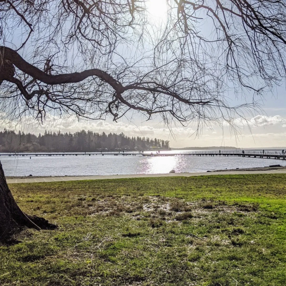 Adults walking along the waterfront at Juanita Beach Park in Kirkland on a sunny summer morning.