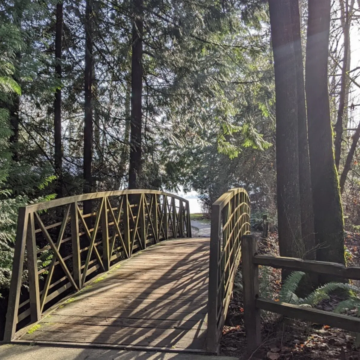 Shaded walking trails and lake views at O.O. Denny Park in Kirkland, perfect for low-impact summer activities.