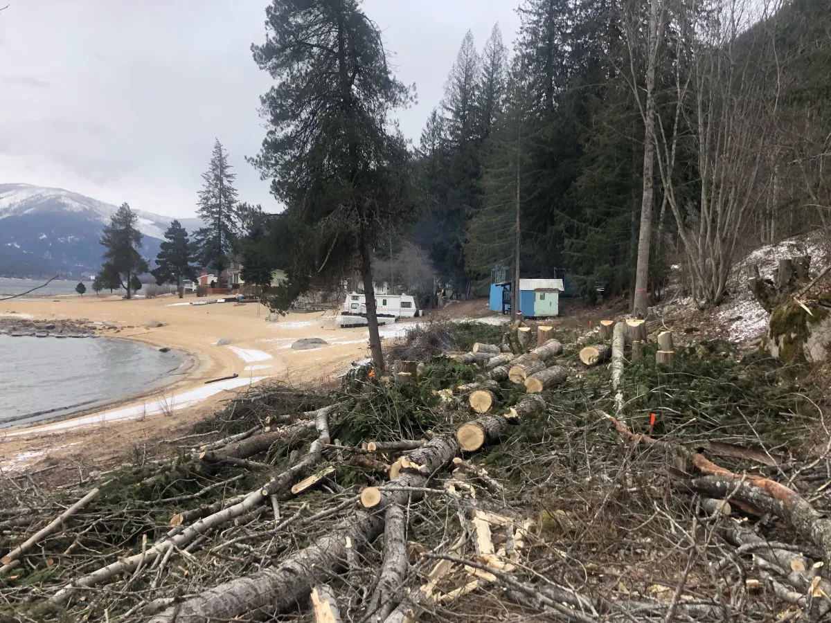 Altitude Forest Management Nelson BC Lot Clearing Arborist Tree Services