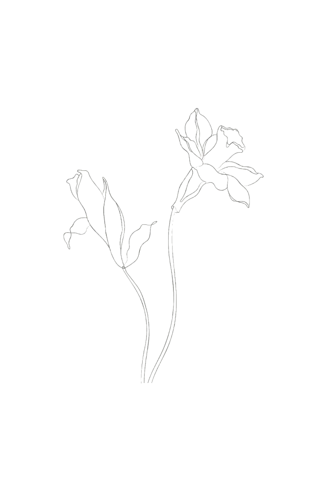 Blume, Moonblume, vertrauen, aufblühen