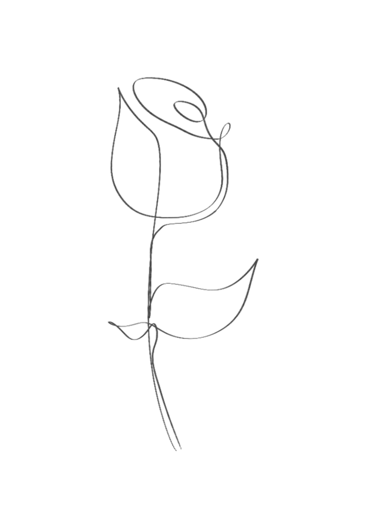 Blume, Rose, Verbundenheit, Vertrauen, Liebe